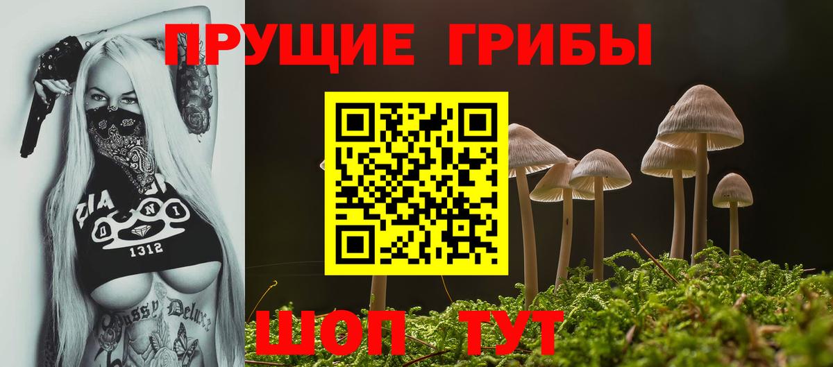 что такое   Вход с VPN  Котельники  Галлюциногенные грибы Psilocybine cubensis 