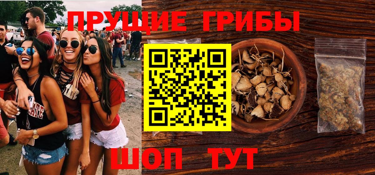Псилоцибиновые грибы ЛСД Котельники